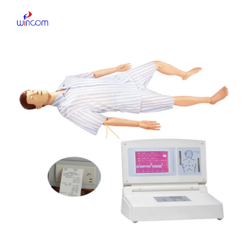 Multifunktionales Still-Torso-Modell