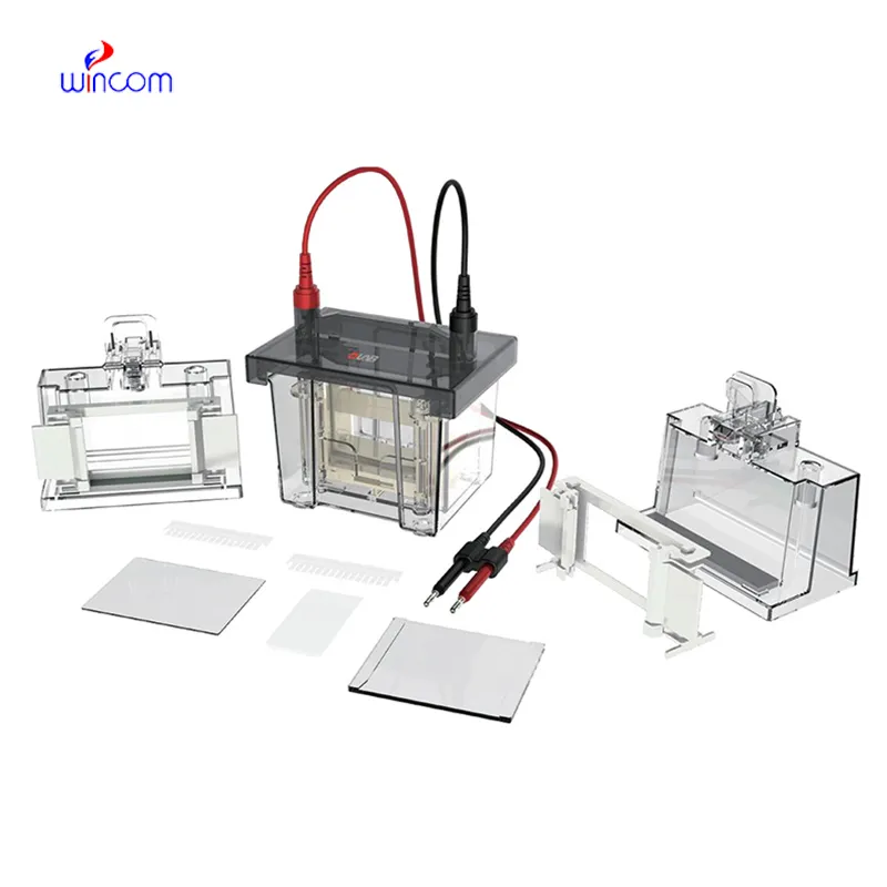 Vertical Cell ELP-T1